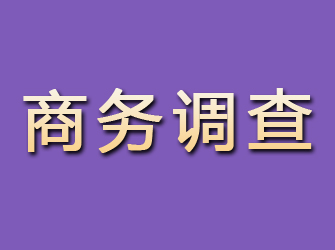 东海岛商务调查